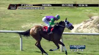 221105 c03 LINDA DAMA