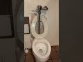 Hobby-town men’s restroom 
