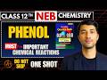 Phenol | Most Important Chemical Reactions | Neb Chemistry Class 12 | One Shot