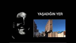 Mr İncredible Becoming Uncanny Yaşadığın Yer Türkçe