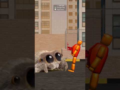 Spider Slaps Pumpkin 😇🎃 Last Play