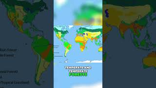 Azeroth's Climate: Why Does It Break Earth's Rules? #shorts