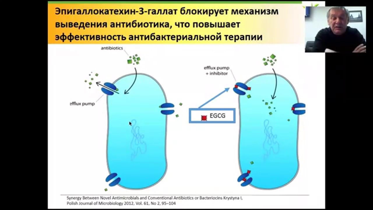 Воспалительный процесс в малом тазу – актуальная тактика лечения