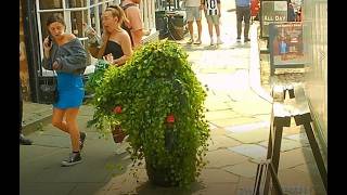 Terrifying Tourists & Tribbles. Bushman Prank.
