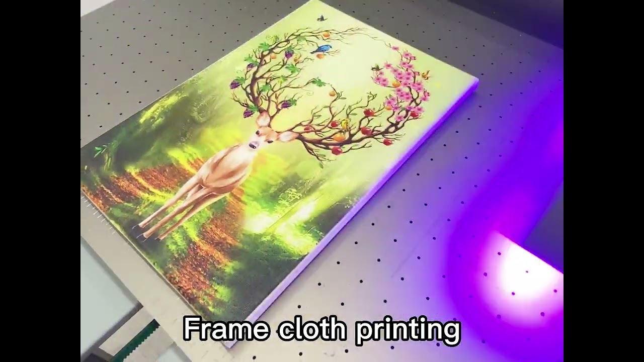 China best selling A1UV printer.Canvas printing now,like it?