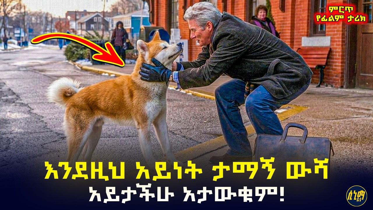ባለቤቱ ከሄደበት እስኪመለስ ሲጠብቀው የኖረው ታማኝ ውሻ ታሪክ 🤯 | የፊልም ታሪክ ባጭሩ