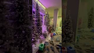 Magical Christmas #christmas #yuletide #wonderland #canada #youtubeshorts