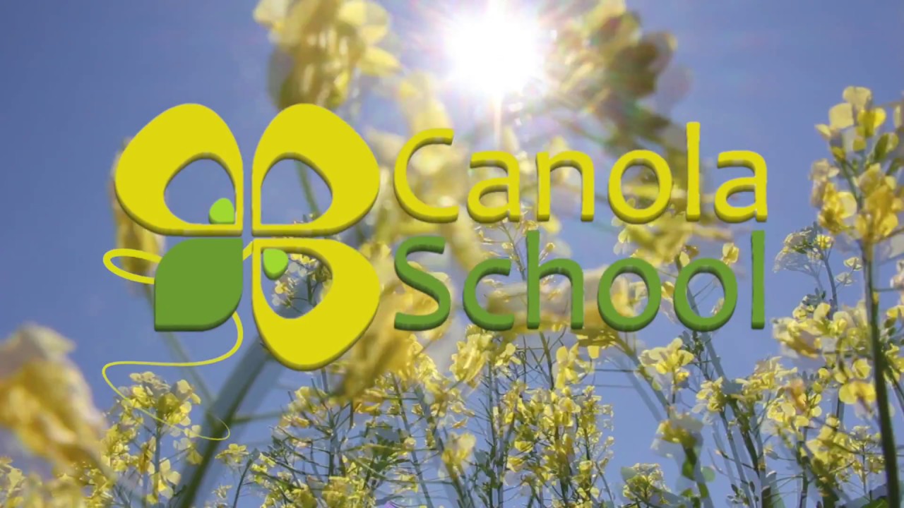 Canola School: Blackleg Resistant Gene Labels Coming Soon