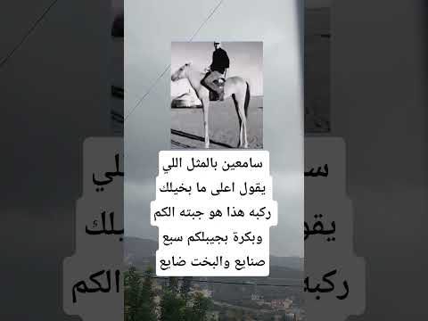 سامعين بالمثل اللي يكول اعلى ما بخيلك ركبه هل تعلم معلومات