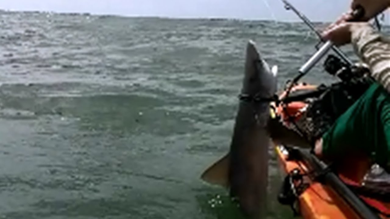 Extreme Kayak Shark Fishing BTB Bolivar Rig YouTube