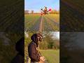 Sunset chase! 🌅 #fpv #fpvdrone #shorts