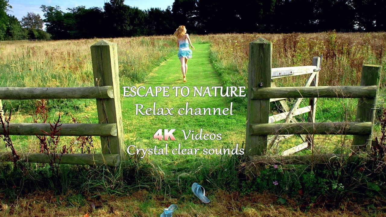 Escape to Nature Trailer 02 Relaxing Channel Audiovisual Experience