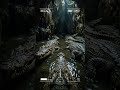 Animal GoCam: Crocodile Finds a Hidden Swamp Cave