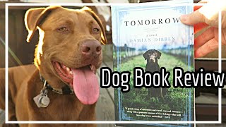 Tomorrow by Damien Dibben | Book Review