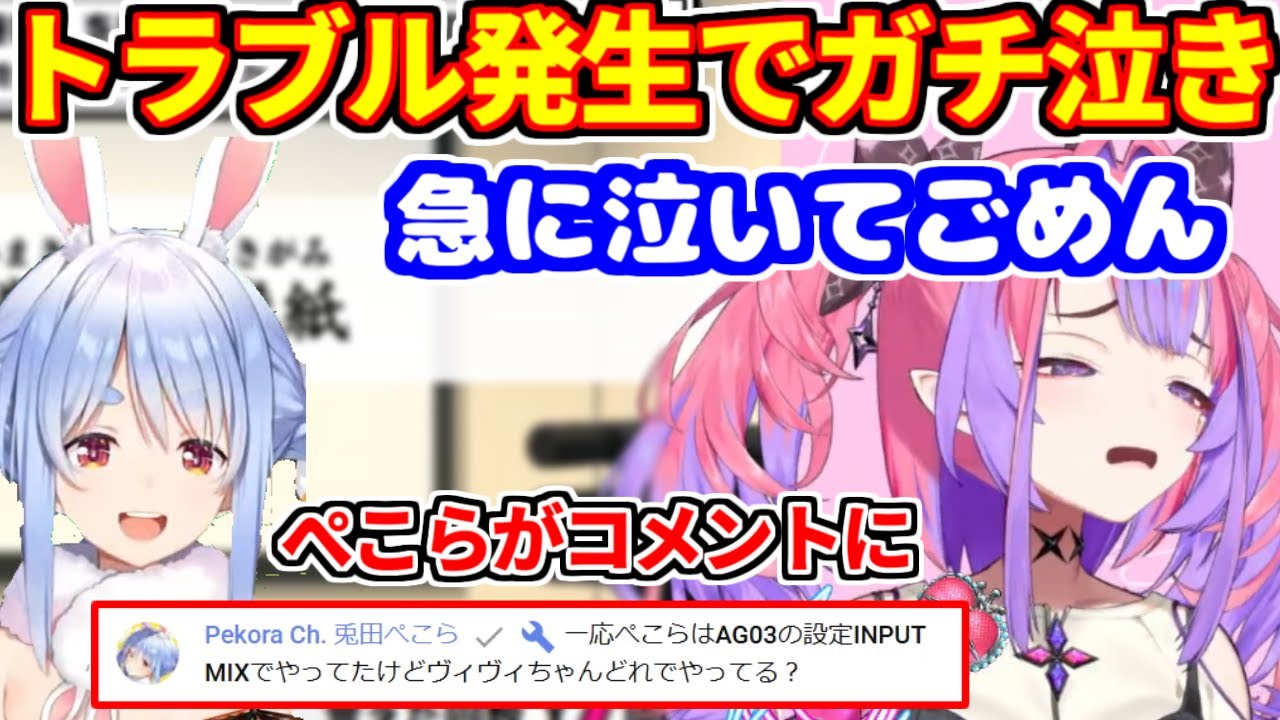 トラブル発生でガチ泣きするヴィヴィ。見かねたぺこらがコメントに現れる。【ホロライブ切り抜き/綺々羅々ヴィヴィ/兎田ぺこら/おしゃべりキング】