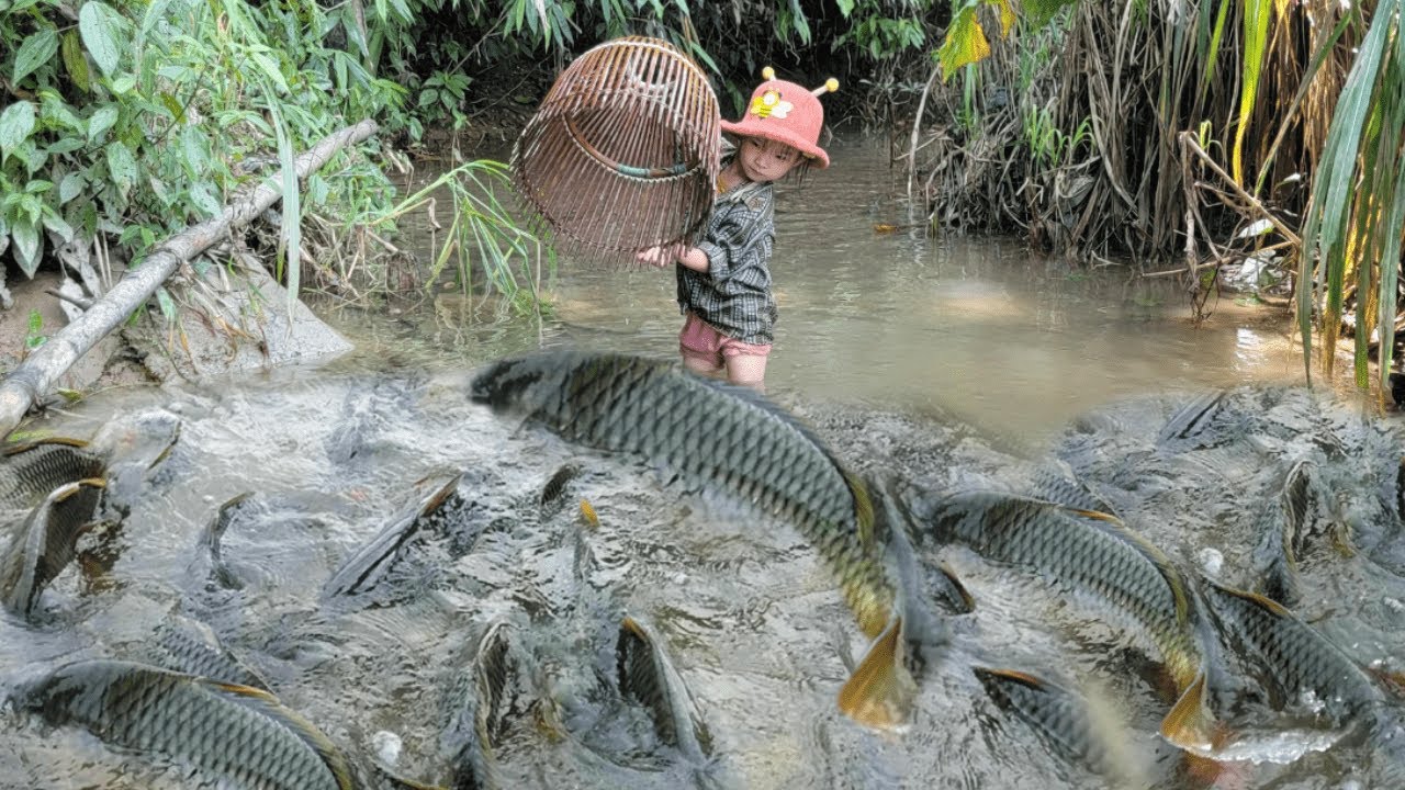 30 days:Meet the giant fish. Girl uses ancient trap to catch fish ...
