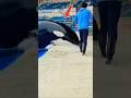 ডলফিনের এমন আচরণ এর আগে দেখেননি। 😱🐬 #shorts