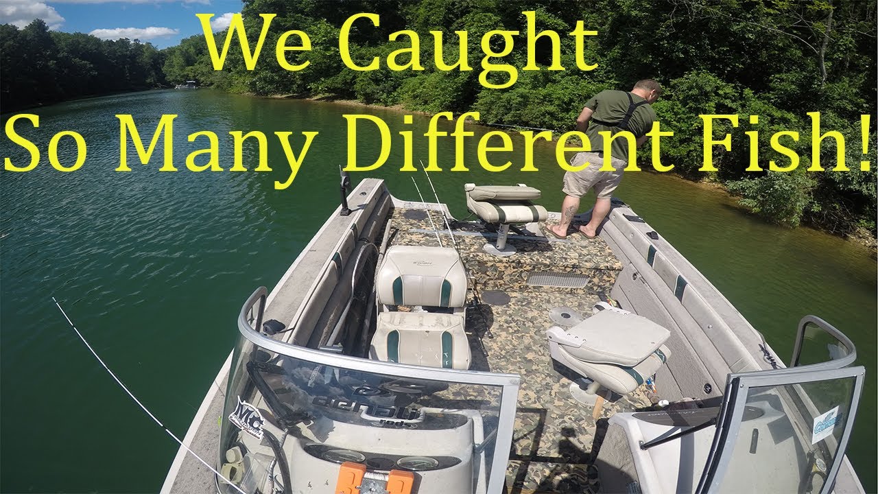 White Perch, Crappie, and Bluegill Oh My!! - YouTube