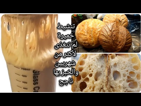 إعادة تنشيط الخميرة الطبيعيه لم تتغذى لأكثر من شهريين لتنشط بدون حموضة وتعطي خبز ناجح مع نصائح هامه