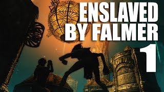 Enslaved by Falmer! (a Death Alternative mod)