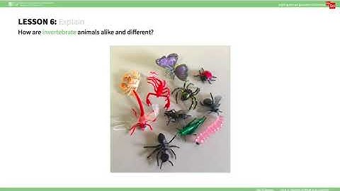 mySci 6 0 U1L6 Summary