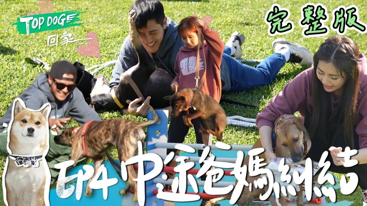 EP4 完整版SUB｜一切都往好的發展！羅志祥跟辛芭默契絕佳 胡宇威對Ozzy表現超滿意 守護者跟夥伴真的會這麼順利嗎？｜TOP DOG回家 縮圖