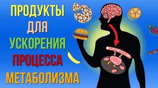 Продукты Которые Помогут Вам Ускорить Процесс Метаболизма Как Улучшить Обмен Веществ В Организме