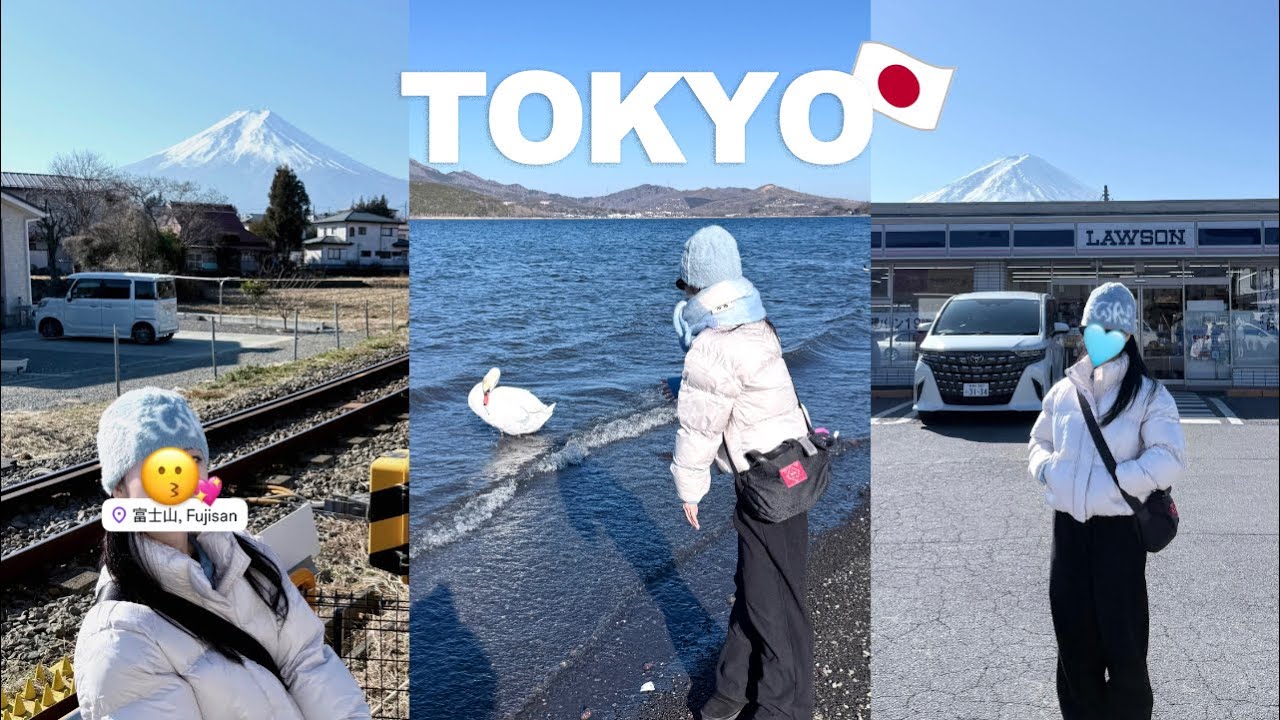나홀로 5박 6일 도쿄 여행 브이로그 02🗻☀️⋆₊˚ 맑은 날 후지산 당일치기 투어! 야마나카코 백조 🦢⚝, 신주쿠 돈가스 맛집🍽️