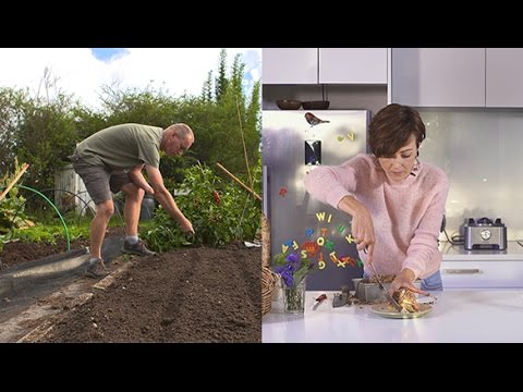 วีดีโอ: Clubroot Control - วิธีป้องกันหรือดูแลพืชด้วย Clubroot