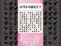 間違い探しクイズ #シニア #クイズ #シニアゲーマー #ならびかえ #脳トレ #40代ショート #占い #60歳代 #雑学 #脳セラピー