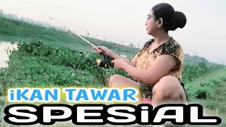 Mancing di sungai kampung pedesaan di temani pemandangan yang indah