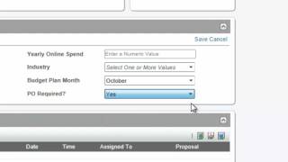 CRM: How To Use User Defined Fields