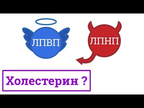 Видео: Разница между холестерином ЛПВП и ЛПНП