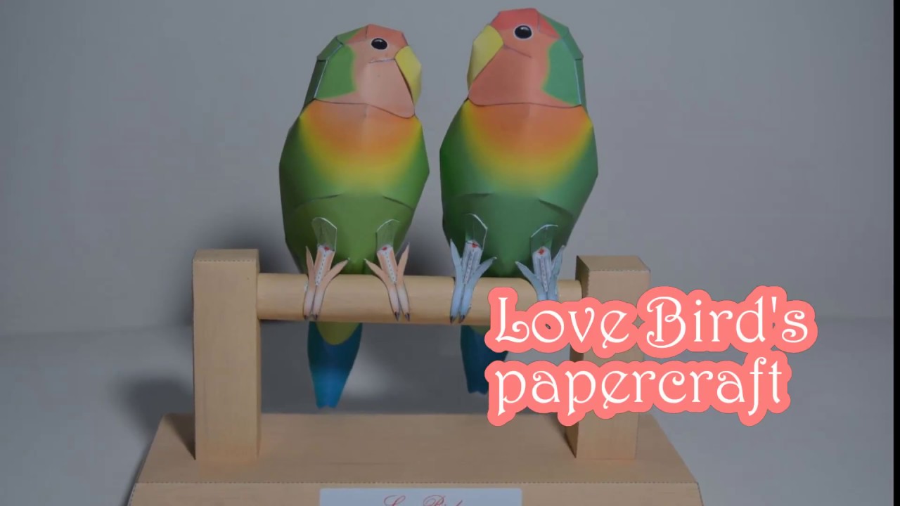 love birds papercraft - YouTube