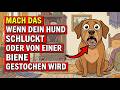 Wenn Dein Hund Eine Biene Oder Wespe Verschluckt, Hast Du Sekunden, Um DAS Zu Tun!(Tierarzt-Warnung)