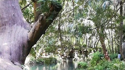Giardino Inglese - bagno di Venere - Reggia di Caserta