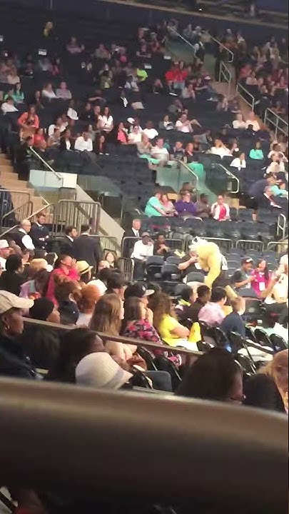 new-york-liberty-live-basketball-game-madison-square-garden-talented