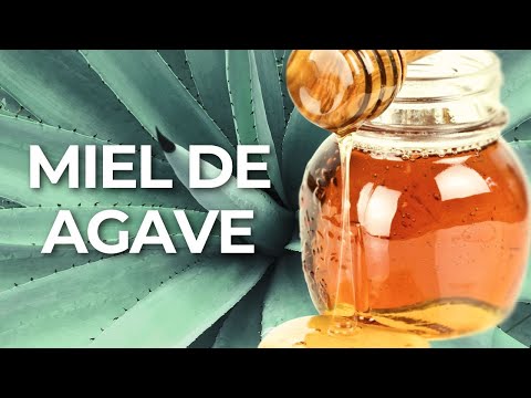 Miel de agave | Cpsulas del Bien Comer - YouTube