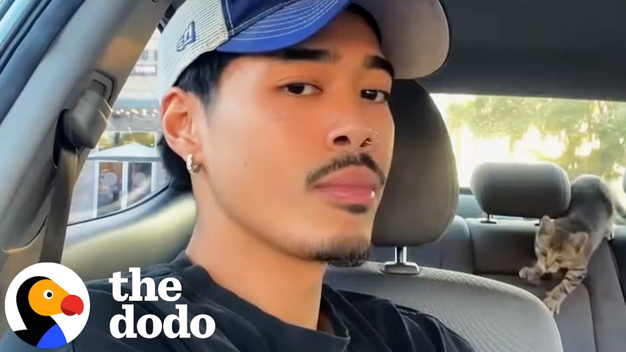 Streamer Realizes He Hears Meowing Coming From His Car | The Dodo