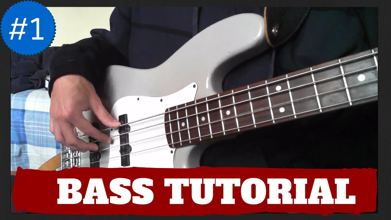 【Bass Tutorial 1】 Basic Concepts/Right Hand Exercises Mr Hyunh YouTube