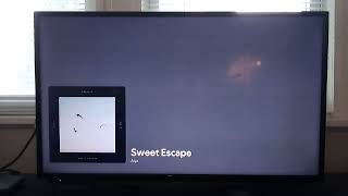 Aiyo - Sweet Escape/Diluted Full Album