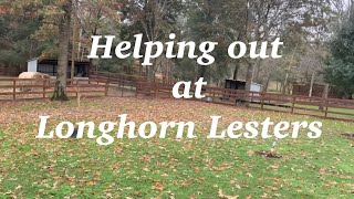 Helping out at Longhorn Lesters