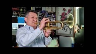 Paul Mauriat Golden Collection  Trumpet performance (폴모리아 골든 콜렉션 트럼펫 연주 )