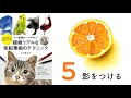 オレンジ【影をつける】～超絶リアルな色鉛筆画のテクニック～ ここまる / 色鉛筆画