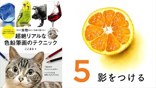 オレンジ【影をつける】～超絶リアルな色鉛筆画のテクニック～ ここまる / 色鉛筆画