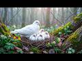 🌸 Spring Lullaby Sleep Music 🎹 Gentle Piano &amp; Bird Sounds for Deep Relaxation and Healing