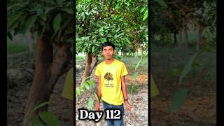 1subscrib=1tree 🌳 #trending #plants #viral #shorts #video #ytshorts #youtubeshorts