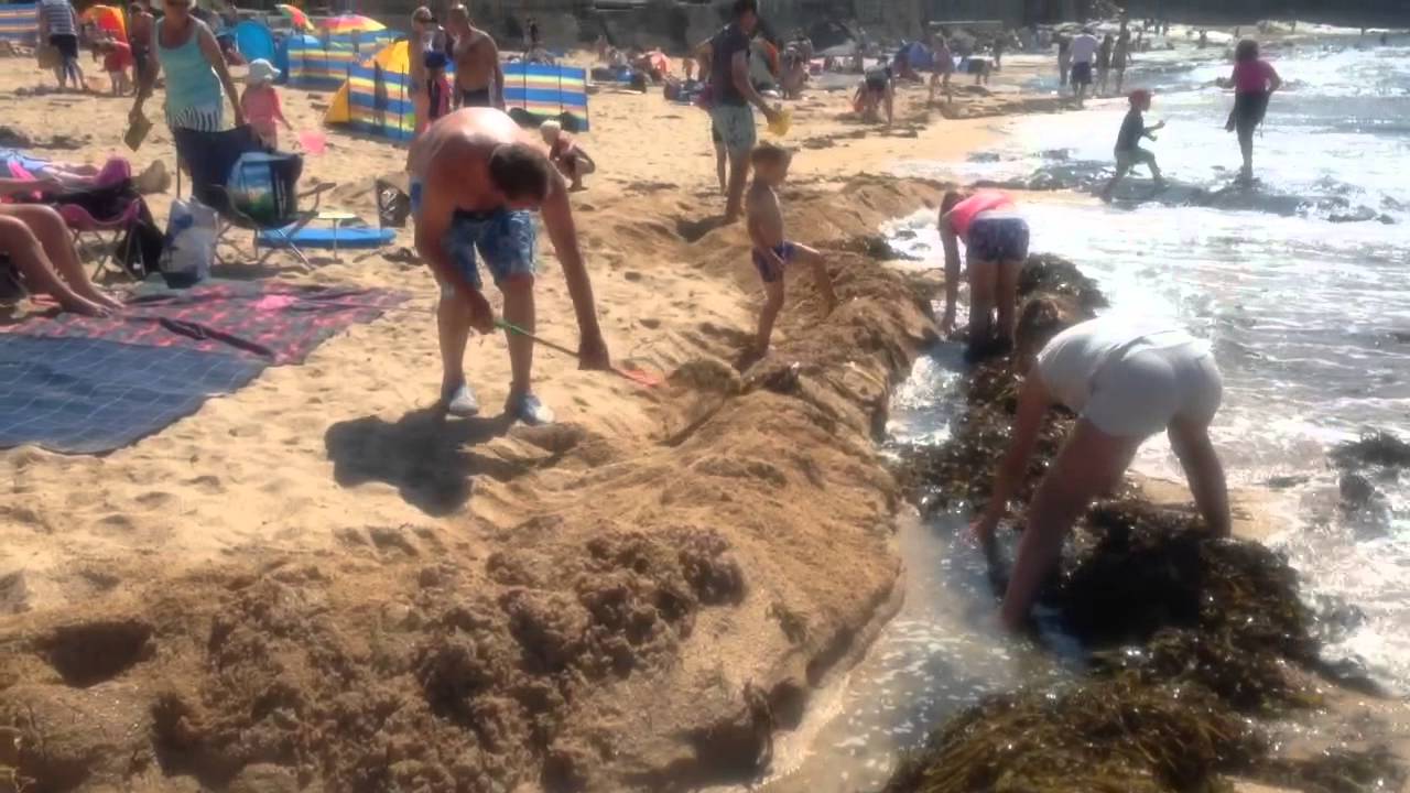 Richard White Building A Sand Barrier @ Constantine Beach C