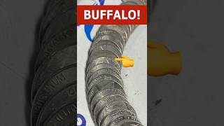 Almost 90-Year-Old Buffalo Nickel Found!    #coincollecting #coinrollhunting