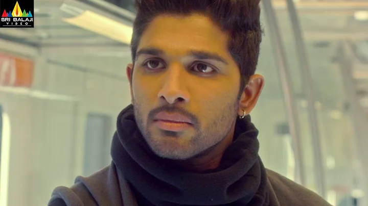Iddarammayilatho Movie Action Scene in Train | Allu Arjun, Amala Paul | Sri Balaji Video